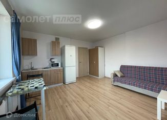 Продам квартиру студию, 25.3 м2, Санкт-Петербург, улица Вадима Шефнера, 14к1, метро Приморская