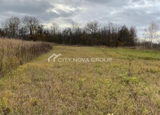 Земельный участок на продажу, 20 сот., деревня Поляна