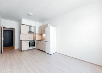 Продается квартира студия, 28.4 м2, посёлок Берёзовый, улица имени А.Н. Лодыгина, 1, ЖК Прогресс