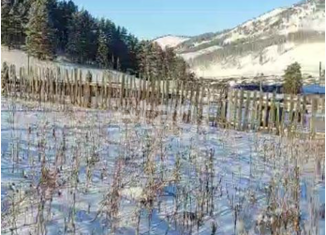 Участок на продажу, 25 сот., село Александровка