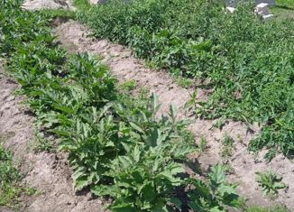 Дом на продажу, 64 м2, садовое товарищество Иня-НАПО, садовое товарищество Иня-НАПО, 157