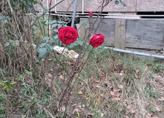 Продажа земельного участка, 5.77 сот., село Барановка (Хостинский район), Высокогорная улица, 52