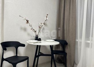 Квартира на продажу студия, 17.1 м2, Казань, улица Клары Цеткин, 34, Кировский район