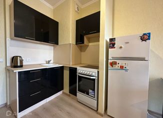 Квартира на продажу студия, 25 м2, городской посёлок Янино-1, ЖК Ясно-Янино, Ясная улица, 16к2