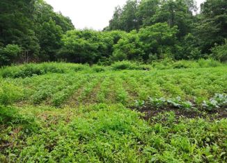 Продажа дома, 36.1 м2, посёлок Сиреневка, посёлок Сиреневка, 15