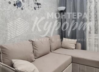 Продается квартира студия, 17 м2, деревня Зелёная Поляна, Курортная улица, 8