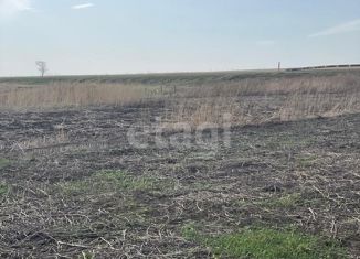 Продам участок, 15 сот., деревня Медынино