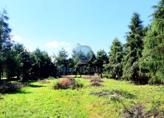 Продажа земельного участка, 19 сот., деревня Новинки