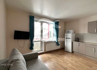 Продажа квартиры студии, 25 м2, микрорайон Вишнёвая Горка, Олимпийская улица, 5