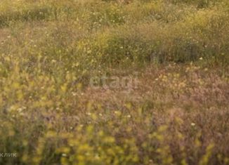 Продажа земельного участка, 20 сот., село Беловское, Зареченская улица, 49