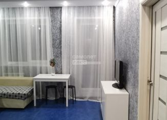 Продажа однокомнатной квартиры, 35.3 м2, Новосибирская область, СНТ Вега-3, 3