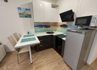 Продажа квартиры студии, 32.2 м2, Мурино, ЖК Северная Палитра, Екатерининская улица, 7к1