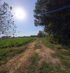 Участок на продажу, 9 сот., хутор Бураковский, улица Горького, 24