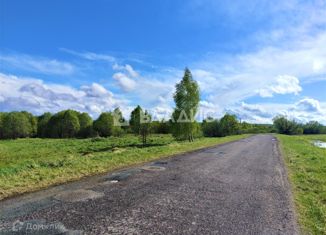 Продается земельный участок, 130 сот., деревня Овцыно, 17Н-653