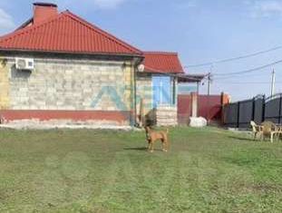 Продается дом, 42 м2, село Беловское, переулок Новосёлов, 8А