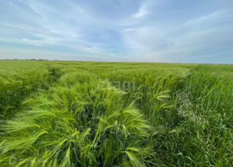 Участок на продажу, 60 сот., Чернышевское сельское поселение, 35Н-021