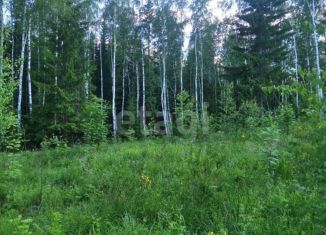 Продам земельный участок, 10 сот., поселок Красный Адуй, Берёзовый переулок