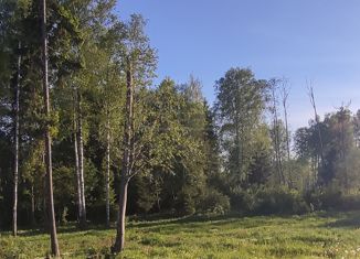 Продажа участка, 16 сот., Пересвет, 3-я Лесная улица