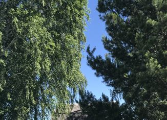 Продается дом, 40 м2, посёлок Становая, Восточная улица