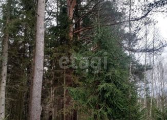 Продаю участок, 24 сот., деревня Рышево, Заречная улица, 5