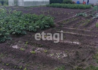 Дом на продажу, 25 м2, СНТ Кедр, СНТ Кедр, 31