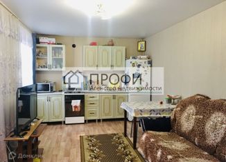 Продаю дом, 48.3 м2, село Серебрянка, Набережная улица