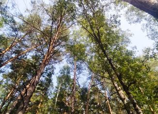 Продается участок, 27 сот., деревня Ерестная, Центральная улица, 28