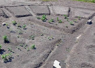 Продается дом, 15 м2, Тюмень, Центральный округ