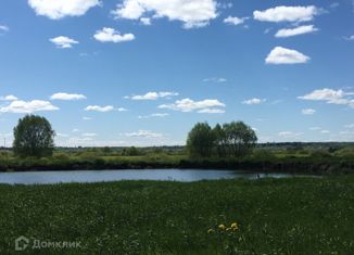 Продажа участка, 25 сот., село Панино, Озёрная улица