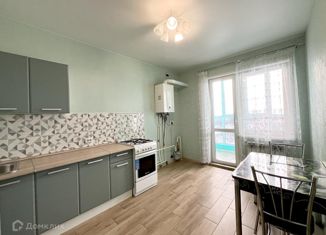 1-комнатная квартира в аренду, 48 м2, Рязанская область, Касимовское шоссе, 63к2