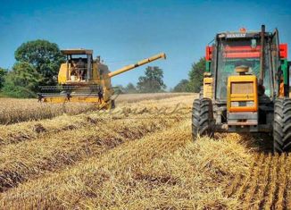 Продажа земельного участка, 520 сот., село Городище