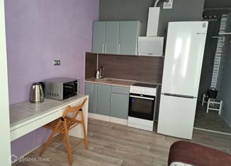 Продаю квартиру студию, 20 м2, Новосибирск, Первомайская улица, 234, Первомайская улица