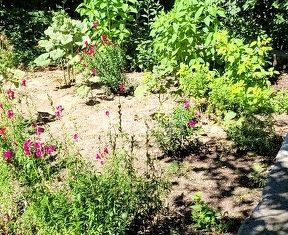 Участок на продажу, 4.34 сот., ТСН СТ Морзаводец, Абрикосовая улица