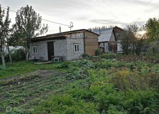 Продажа дома, 40 м2, садоводческое некоммерческое товарищество Источник-2, Рябиновая улица