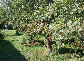 Продается участок, 6 сот., СНТ Ромашка, СНТ Ромашка, 52