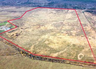 Продается участок, 10000 сот., деревня Чаплино, 41К-387