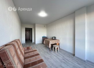 Сдаю в аренду квартиру студию, 25 м2, Мурино, ЖК Муринское-1, улица Шоссе в Лаврики, 67