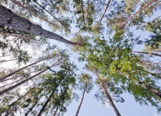 Продаю участок, 96 сот., деревня Чесноково