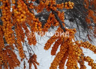 Продается дом, 66 м2, поселок городского типа Яя, Ленинградская улица, 38