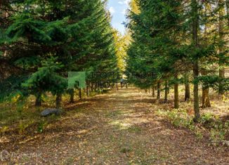 Продаю земельный участок, 110 сот., деревня Лапино, Луговая улица
