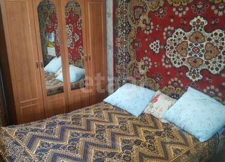 3-комнатная квартира на продажу, 51.4 м2, село Амурское, переулок Шевченко, 1