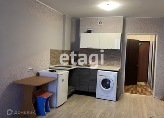 Аренда квартиры студии, 30 м2, Красноярск, Соколовская улица, 72, жилой район Солнечный