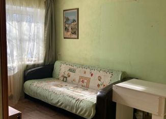 Продаю однокомнатную квартиру, 30 м2, Нижегородская область, улица Ванеева, 106
