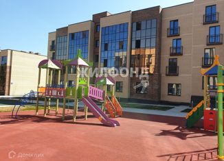 Продаю квартиру студию, 30 м2, Новосибирск, ЖК Свобода, улица Заслонова, 13/7