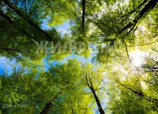 Продается участок, 8 сот., СНТ Надежда-2