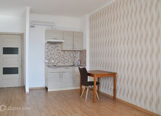 Продам квартиру студию, 24.1 м2, Санкт-Петербург, улица Адмирала Черокова, 20, ЖК Море