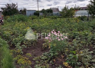 Продам участок, 6 сот., СНТ Ильмень, 8-й проезд