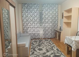 Сдается квартира студия, 16.5 м2, Сургут, Пролетарский проспект, 4/2