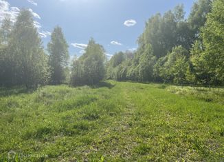 Продается земельный участок, 10 сот., деревня Петрово