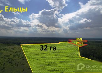 Продается земельный участок, 3400 сот., деревня Ельцы, улица 30 лет Победы